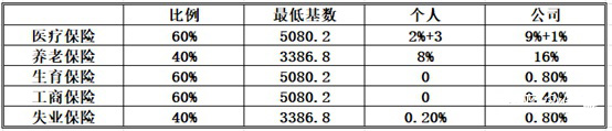 醫療保險比例